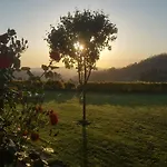 Casa Da Boa Vista Em Viadal * Vale de Cambra