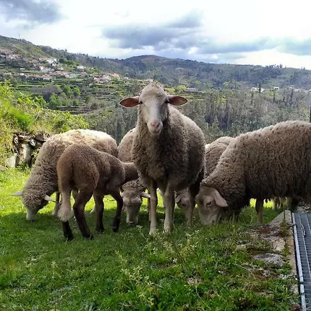 Casa Da Boa Vista Em Viadal Casa vacanze