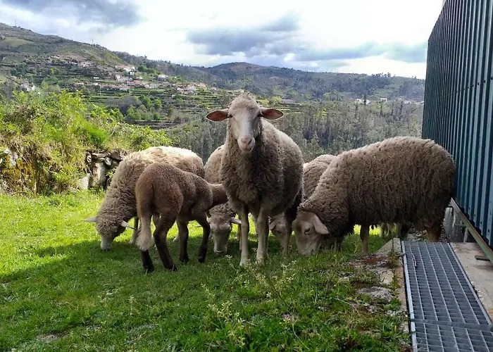 Casa Da Boa Vista Em Viadal Tatil Evi