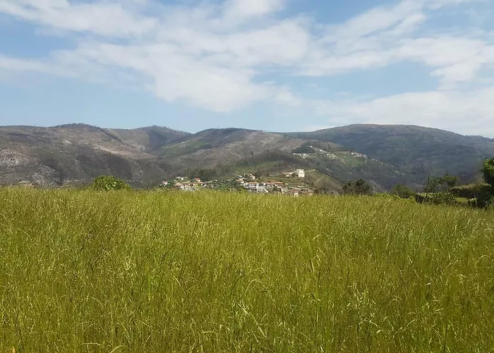 Casa Da Boa Vista Em Viadal