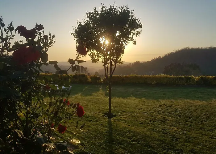 Casa Da Boa Vista Em Viadal * Vale de Cambra